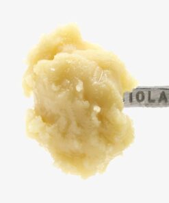 Gorilla Runtz Live Rosin Badder