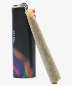 Persy Doinks